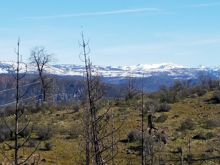 nice to see so much SNOW