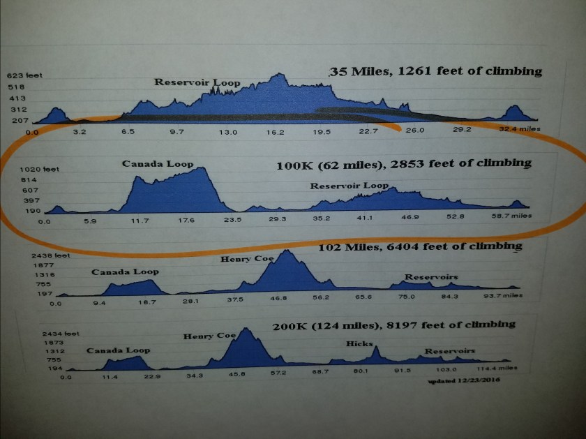 Tierra Bella metric graph