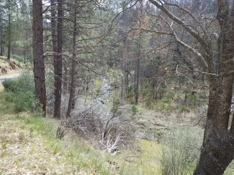 creek along East Sprague