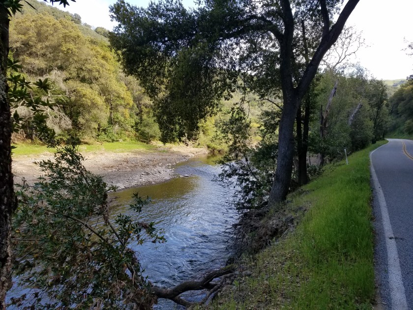 water was so pretty running alongside the road