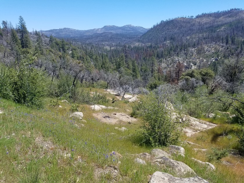 wonderful view from ridge road